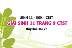 Giải Sinh 11 trang 9 Chân trời sáng tạo SGK